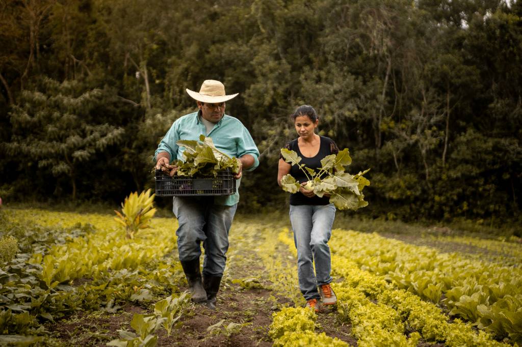 Conab reforça programa para impulsionar a mecanização da agricultura familiar