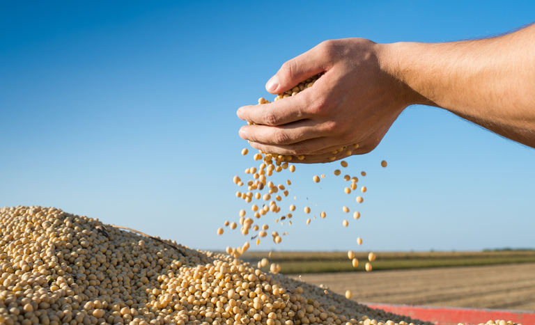 Ministério da Agricultura eleva projeção do VBP em 2026 para R$ 1,413 trilhão