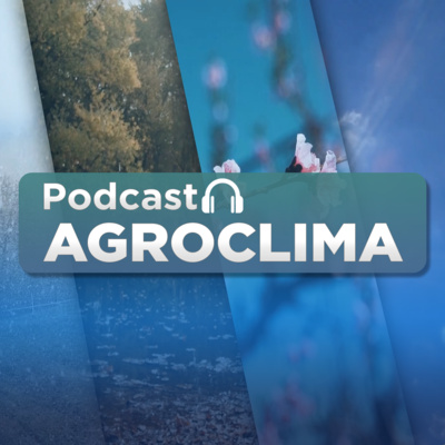 #1195 Agroclima: Quarta-feira será de tempo aberto e baixas temperaturas no Centro-Sul
