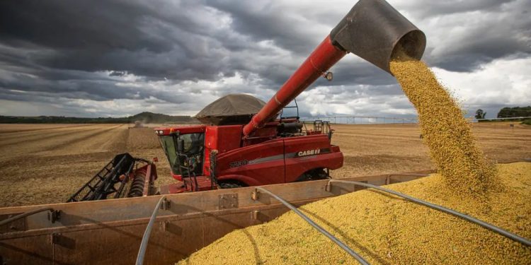 Serasa Experian: agro lidera entre setores com mais empresas sob recuperação judicial
