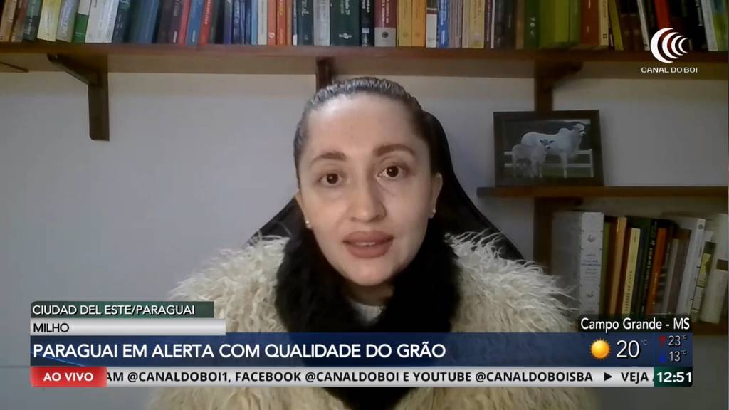 Clima preocupa produtores e ameaça qualidade da safra de milho no Paraguai