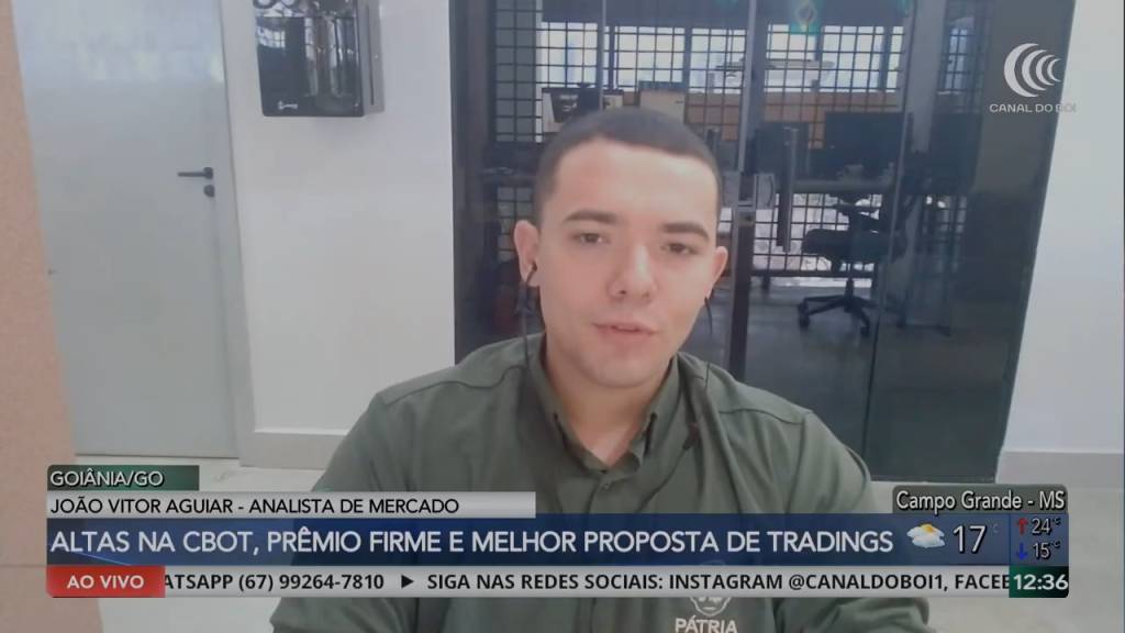 Soja reage com alta em Chicago e prêmios firmes fortalecem mercado brasileiro