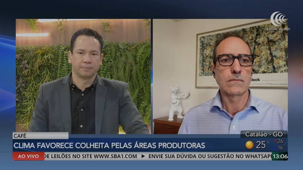 Tempo seco acelera colheita de café e mercado acompanha evolução da oferta