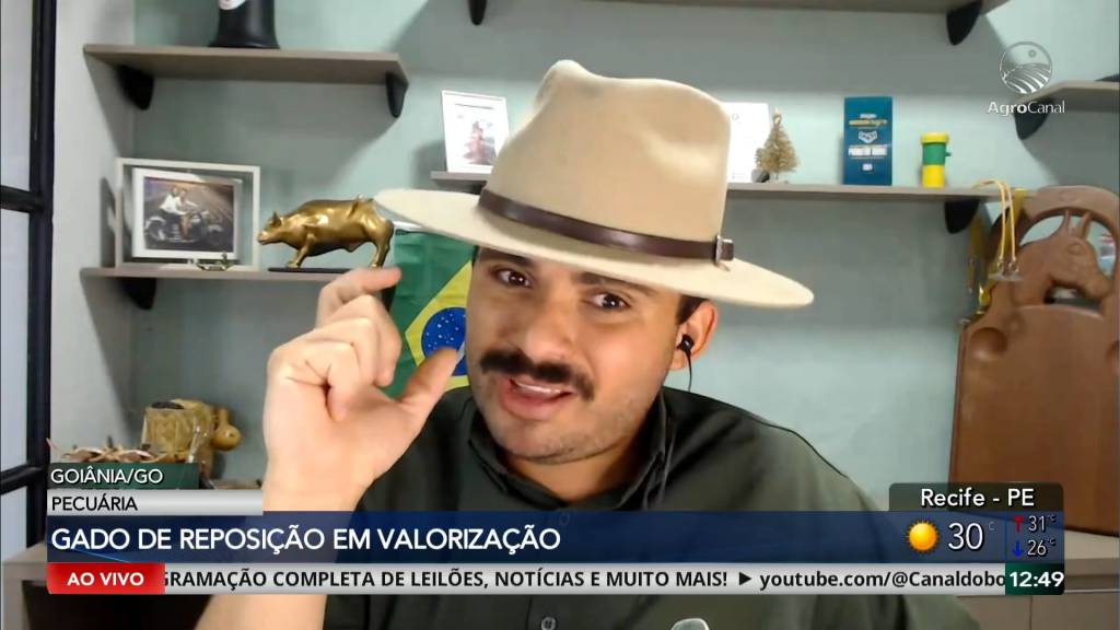 Reposição segue valorizada no país, mas São Paulo registra pressão sobre o boi gordo