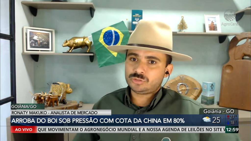 Arroba do boi gordo segue pressionada com cota de exportação para a China próxima do limite