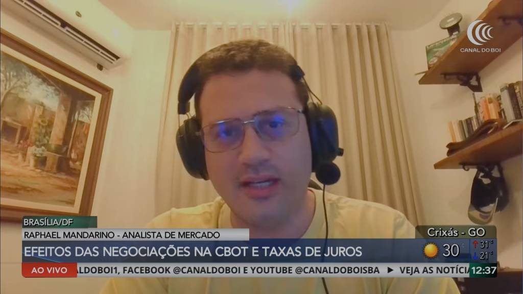 Soja ganha força no Brasil com alta em Chicago, dólar valorizado e exportações aquecidas