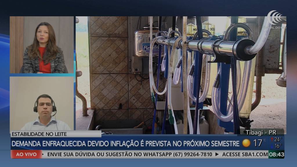 Mercado de leite deve enfrentar produção mais lenta e demanda pressionada pela inflação no segundo semestre, aponta Rabobank