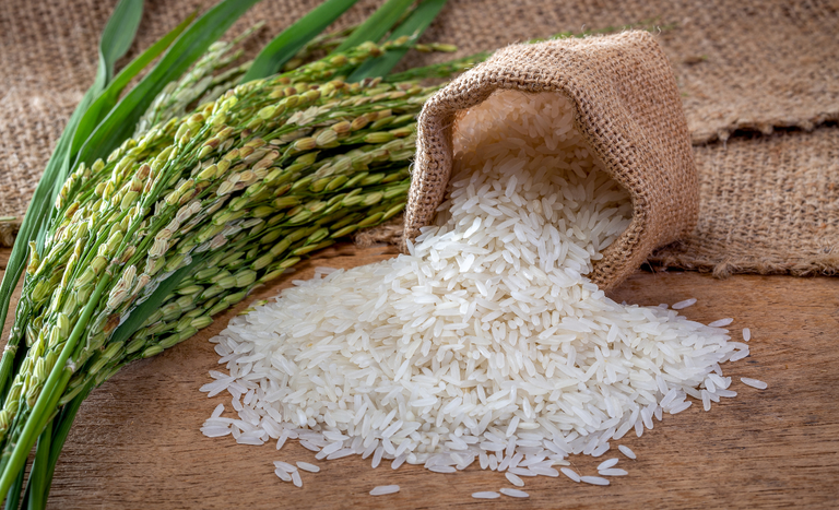 Demanda externa sustenta recuperação dos preços do arroz