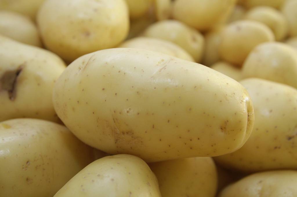 Cotações da batata permanecem estáveis