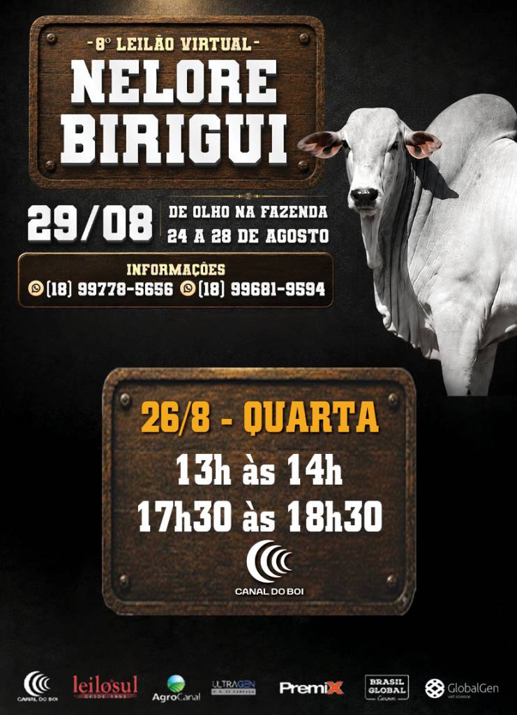 8º De Olho na Fazenda Nelore Birigui vende reprodutores selecionados a preço fixo no Canal do Boi e AgroCanal