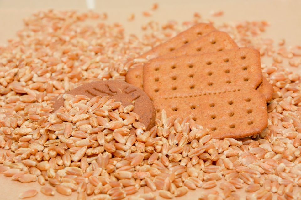 Cultivo do triticale no Cerrado amplia oportunidades para a indústria de alimentos