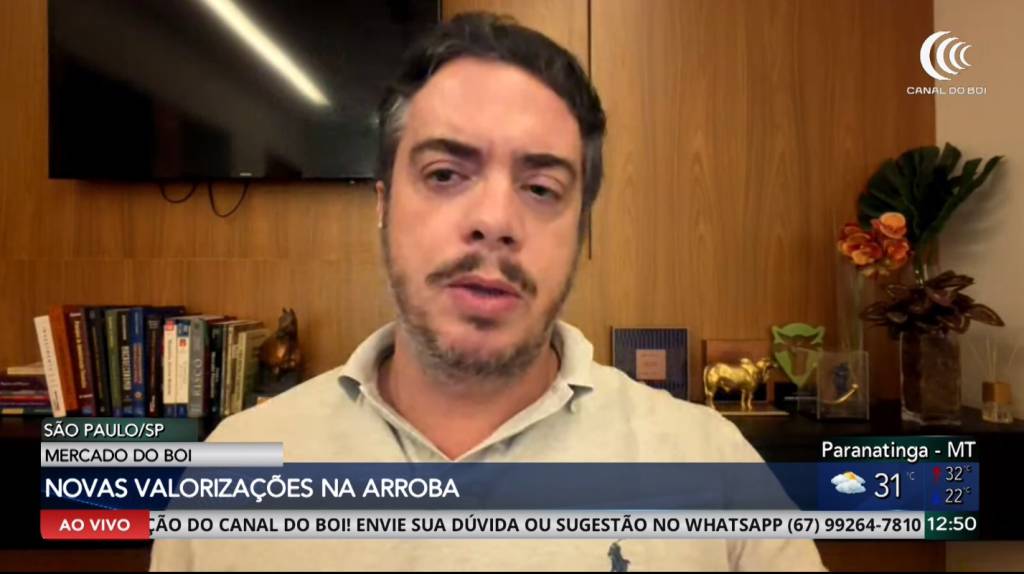 Arroba do boi gordo registra novas valorizações
