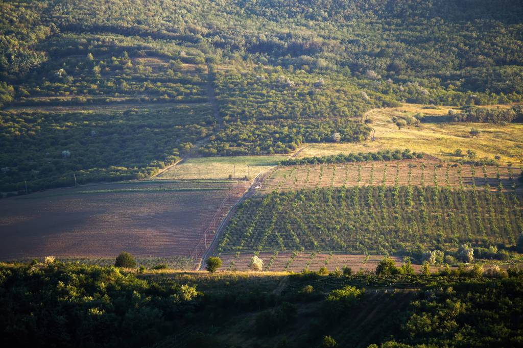 Famato orienta produtores sobre impacto do Prodes no crédito rural