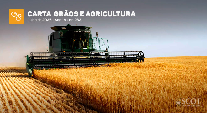 Carta Grãos e Agricultura - Trigo - A leitura rápida é que a safra será menor