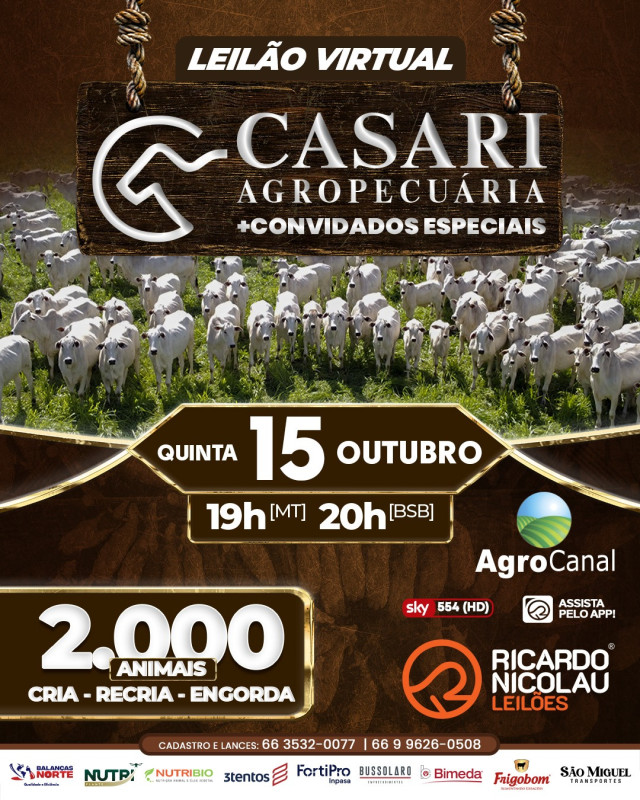 Casari Agropecuária oferta animais de corte nesta quinta-feira no AgroCanal