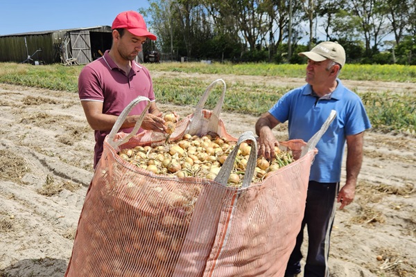 Agronegócio brasileiro atinge 28,58 milhões de trabalhadores no 3º trimestre de 2025