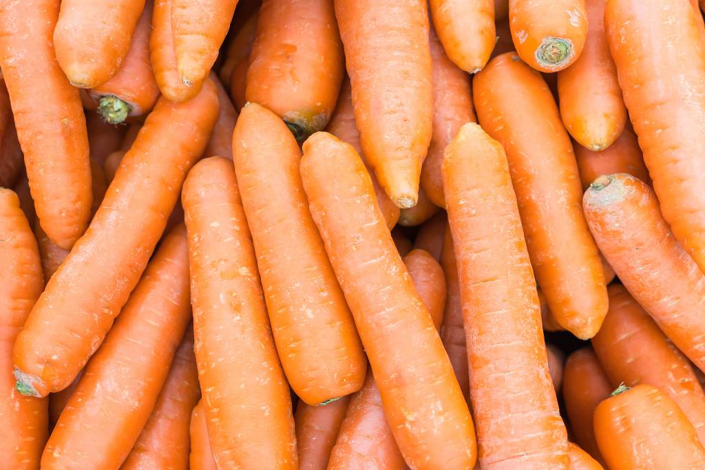 Chuvas em Minas Gerais reduzem oferta da cenoura