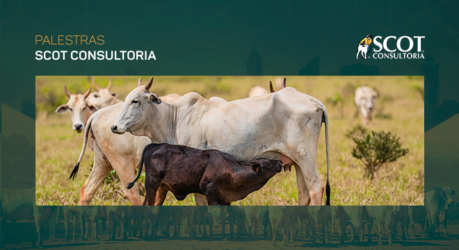 Circuito Cria encerra etapa “No Rastro do Bezerro” com visitas no MS