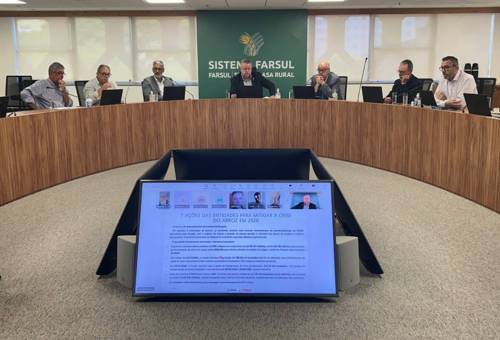 Entidades arrozeiras articulam medidas conjuntas para enfrentar crise da cadeia orizícola gaúcha