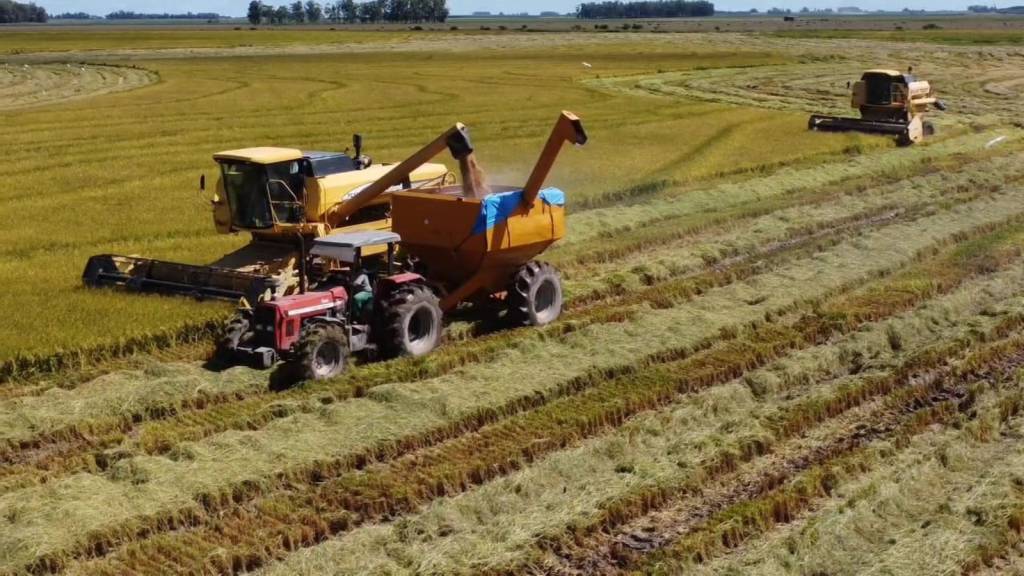 Colheita de arroz encerra no Rio Grande do Sul