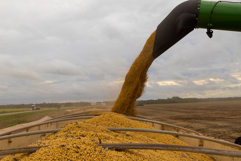 USDA mantém estimativas de produção para a soja e o milho no Brasil em 2025/26
