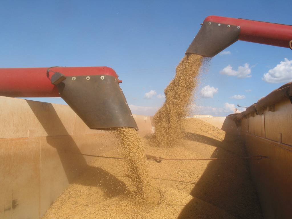 Conab estima produção de grãos em  358,6 milhões de toneladas na safra 2025/26