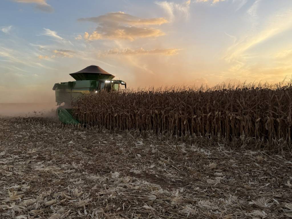 Colheita de soja na Argentina alcança 95,2% e a de milho atinge 43,6%