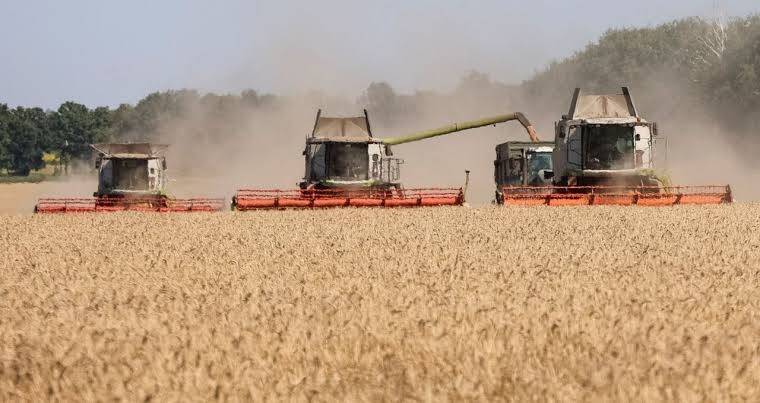 USDA corta estoques de milho nos EUA e projeta safra de soja perto do recorde