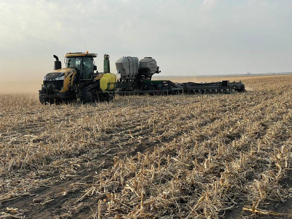 USDA eleva projeções para safra de soja dos Estados Unidos e reforça expectativa de ampla oferta mundial