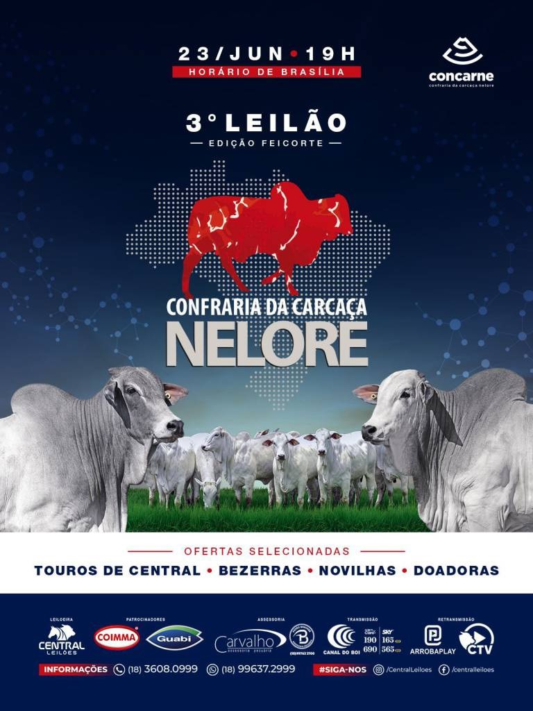 3º Leilão Confraria da Carcaça Nelore – Edição Feicorte reúne genética selecionada nesta terça-feira