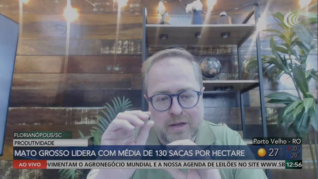 Safrinha de milho tem alto potencial, mas rentabilidade preocupa