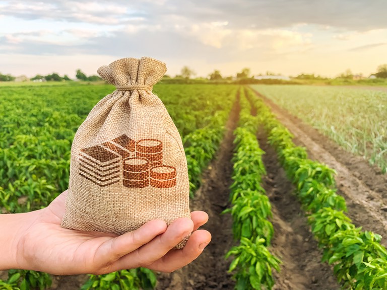 Sem crédito diferenciado, produtor troca arroz e feijão por soja, diz Mercadante
