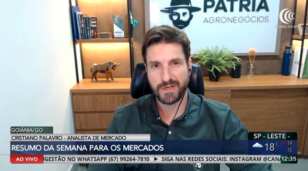 Soja e milho seguem atentos ao cenário de oferta e demanda