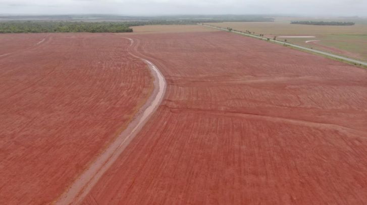 Com forte demanda do campo, FCO teve recorde de financiamentos no MS em 2025