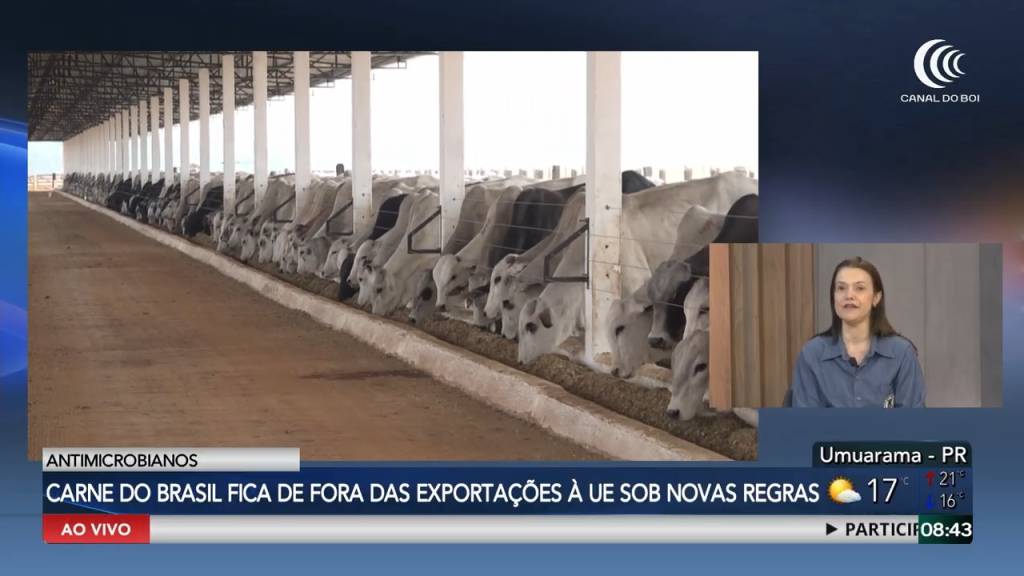 União Europeia barra carne do Brasil por uso de aditivos em rações