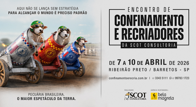 Encontro de Confinamento e Recriadores: para alcançar o mundo é preciso padrão