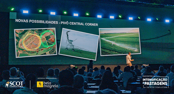 Intensificação e pastagens: o encontro que conecta pecuária, agricultura e mercado