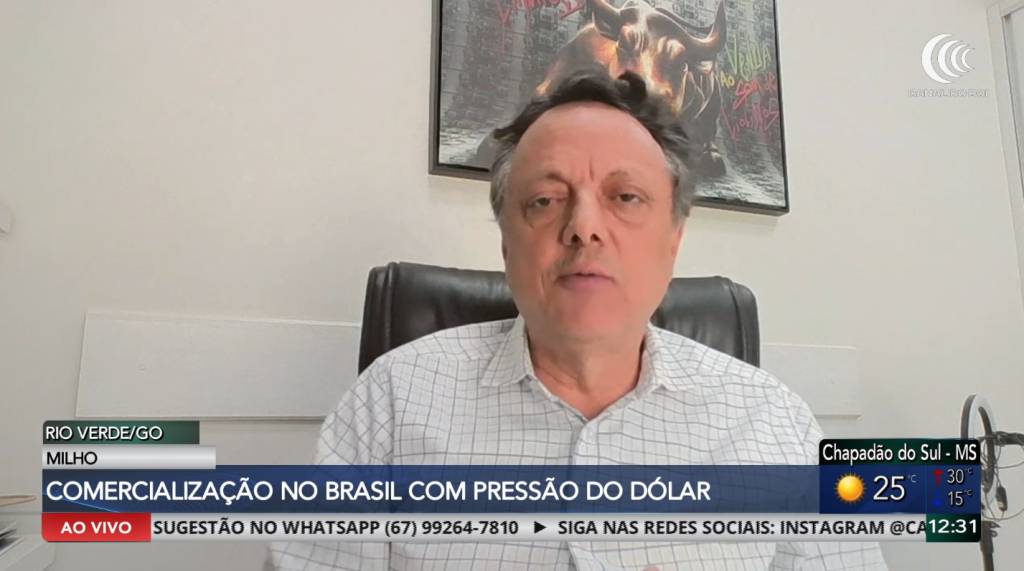 Dólar, eleições e oferta de grãos movimentam mercado de soja e milho