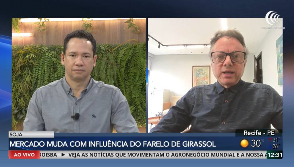 Conflito no Mar Negro aumenta pressão sobre o mercado de soja