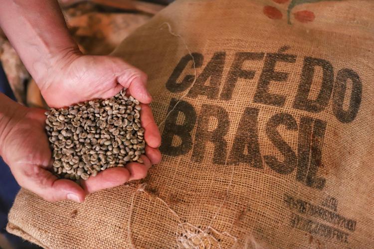 Clima favorável e expectativa de safra maior pressionam café no início de 2026