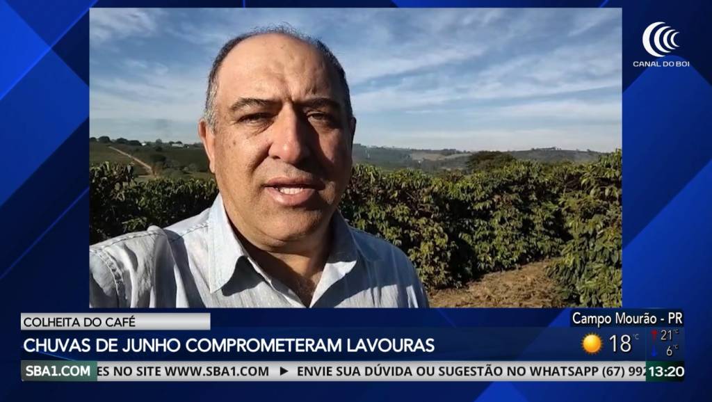 Chuvas de junho prejudicam colheita do café em importantes regiões produtoras