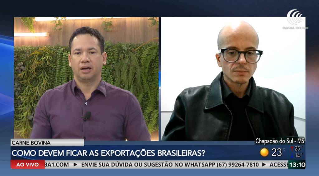 Mercado do boi gordo segue pressionado, enquanto exportações de carne bovina permanecem no foco