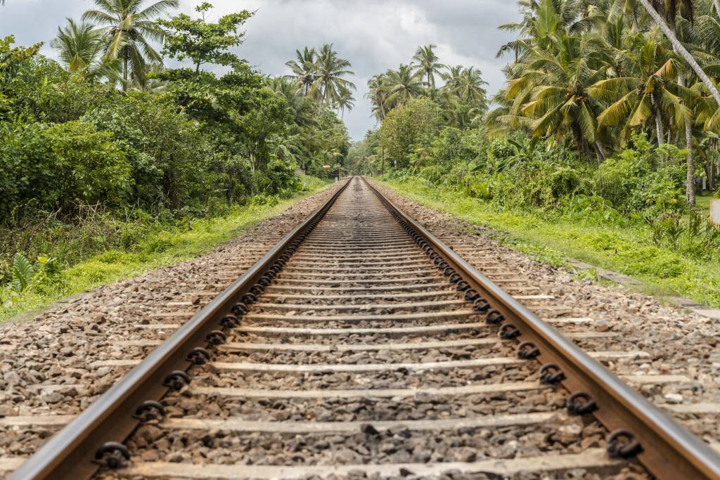 STF forma maioria para manter lei que abre espaço para Ferrogrão