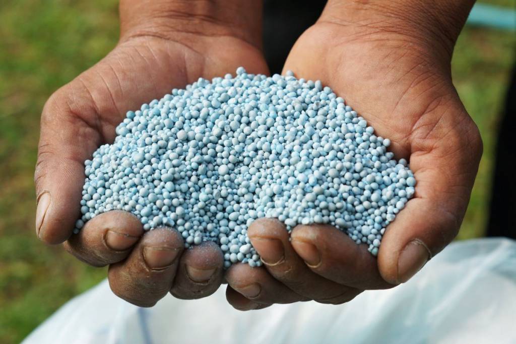 Aumento da produção interna pode suprir falta da importação de fertilizantes do Brasil
