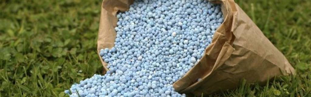 Conflito no Oriente Médio eleva preços dos fertilizantes no Brasil, diz Argus