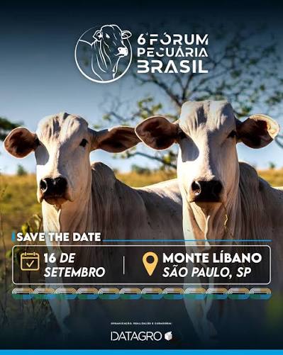 DATAGRO realiza 6ª edição do Fórum Pecuária Brasil com debates sobre mercado, inovação e futuro do setor