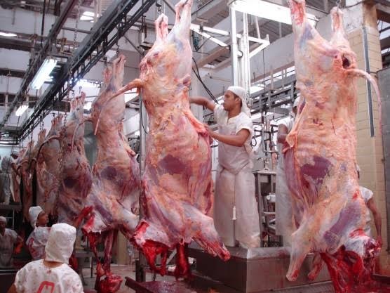 IBGE: Abates de bovinos e suínos crescem no 2º trimestre de 2026