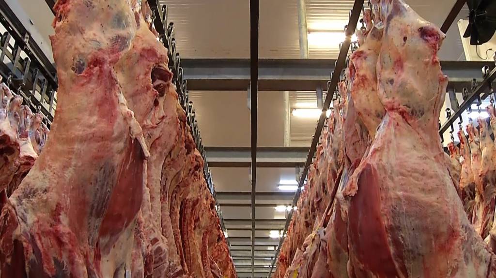 Governo tomará medidas para reverter decisão da UE sobre carne do Brasil