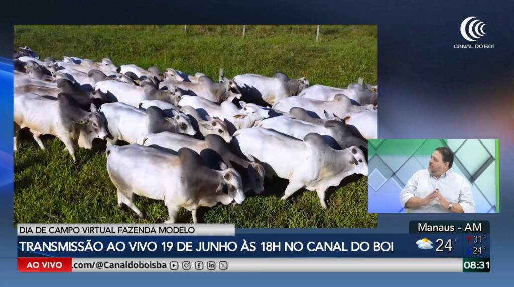 Fazenda Modelo realiza dia de campo virtual e dois leilões no mês de junho