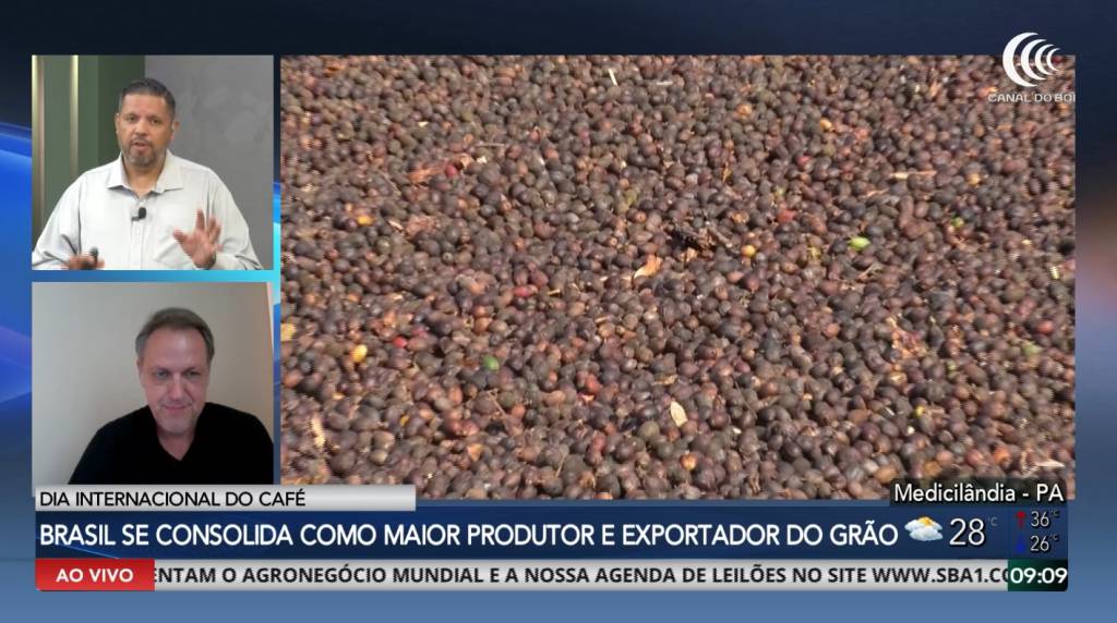 Dia Internacional do Café: Brasil se consolida como maior produtor e exportador